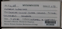 Image Associated With the Occurence
